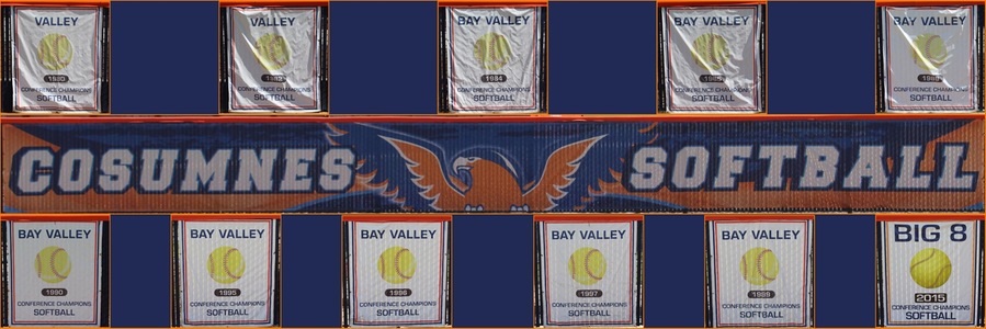 Hawks Championship banners